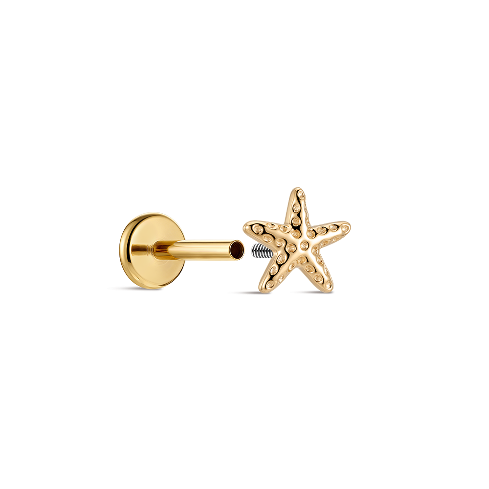 CANNER Brinco de Orelha Estrel - Tragus Flat Back avaliação e preço