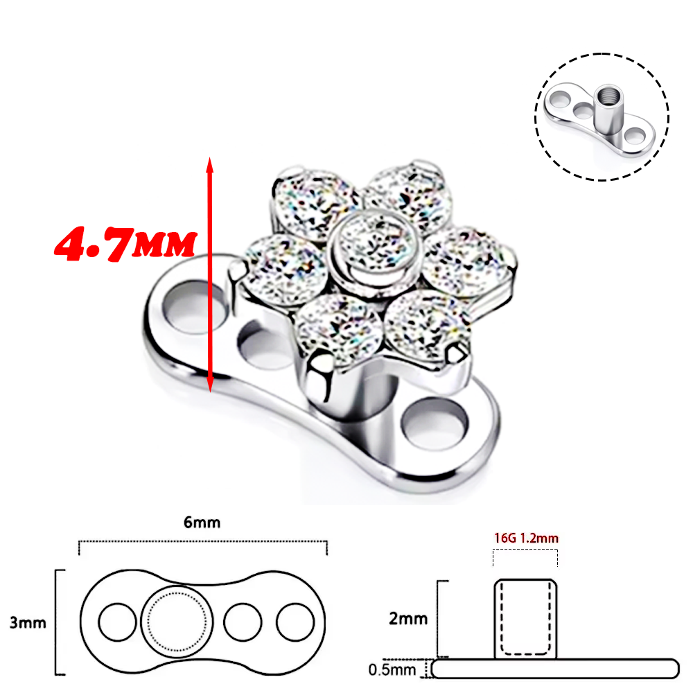F136 liga de titânio de alta q - Body Piercing Quality Jewelry avaliação e preço